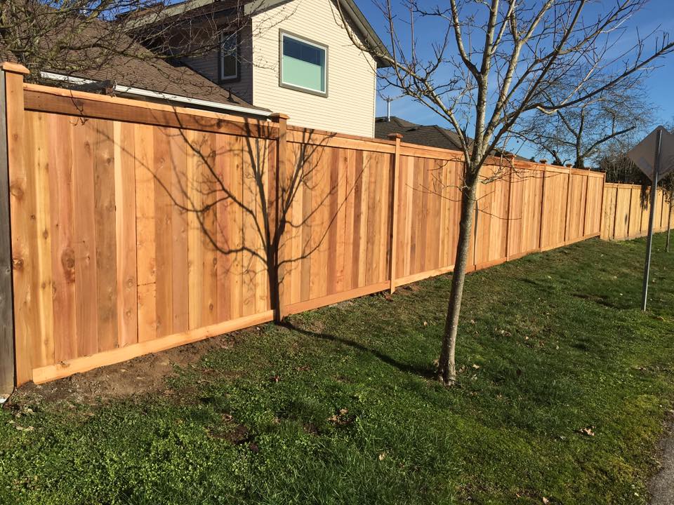 custom cedar panels fence