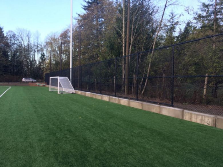 Yard Before Fence Installation