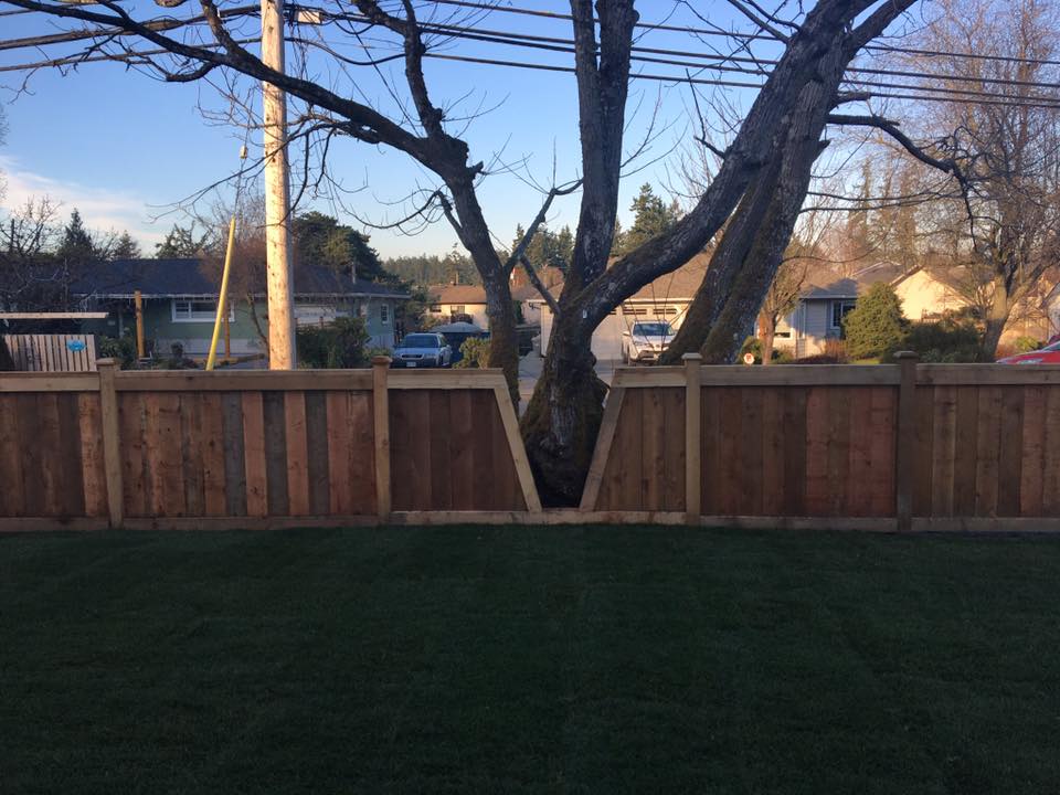 Fence Installation company