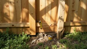 Common fence installation mistakes homeowners should avoid for a long-lasting fence